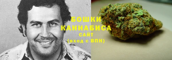 мдпв Ивантеевка